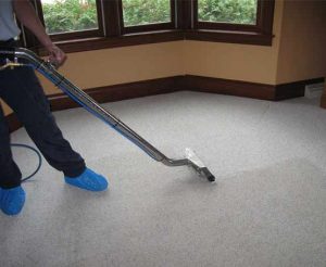 professional carpet cleaning services in banks-